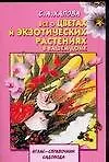 Все о цветах и экзотических растениях в вашем доме