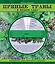 Пряные травы в вашем саду — 2343151 — 1