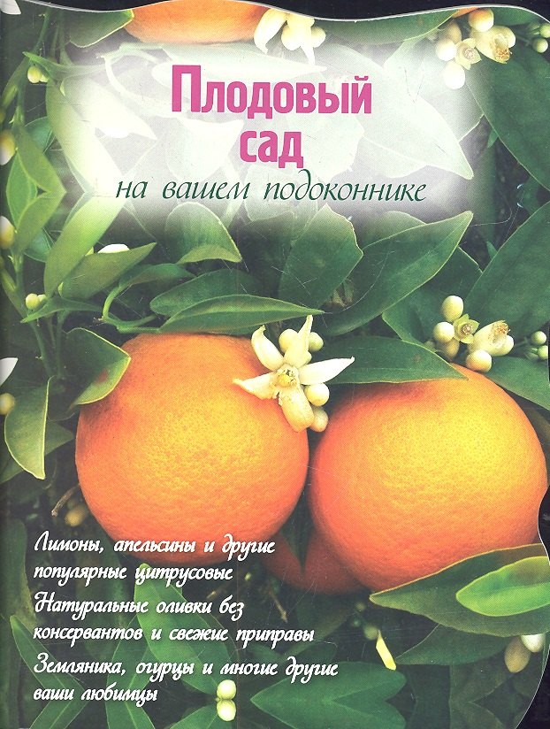 

Плодовый сад на вашем подоконнике