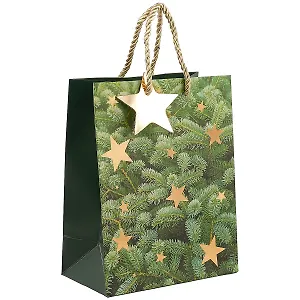 Подарочный пакет «Ветки ели», А5