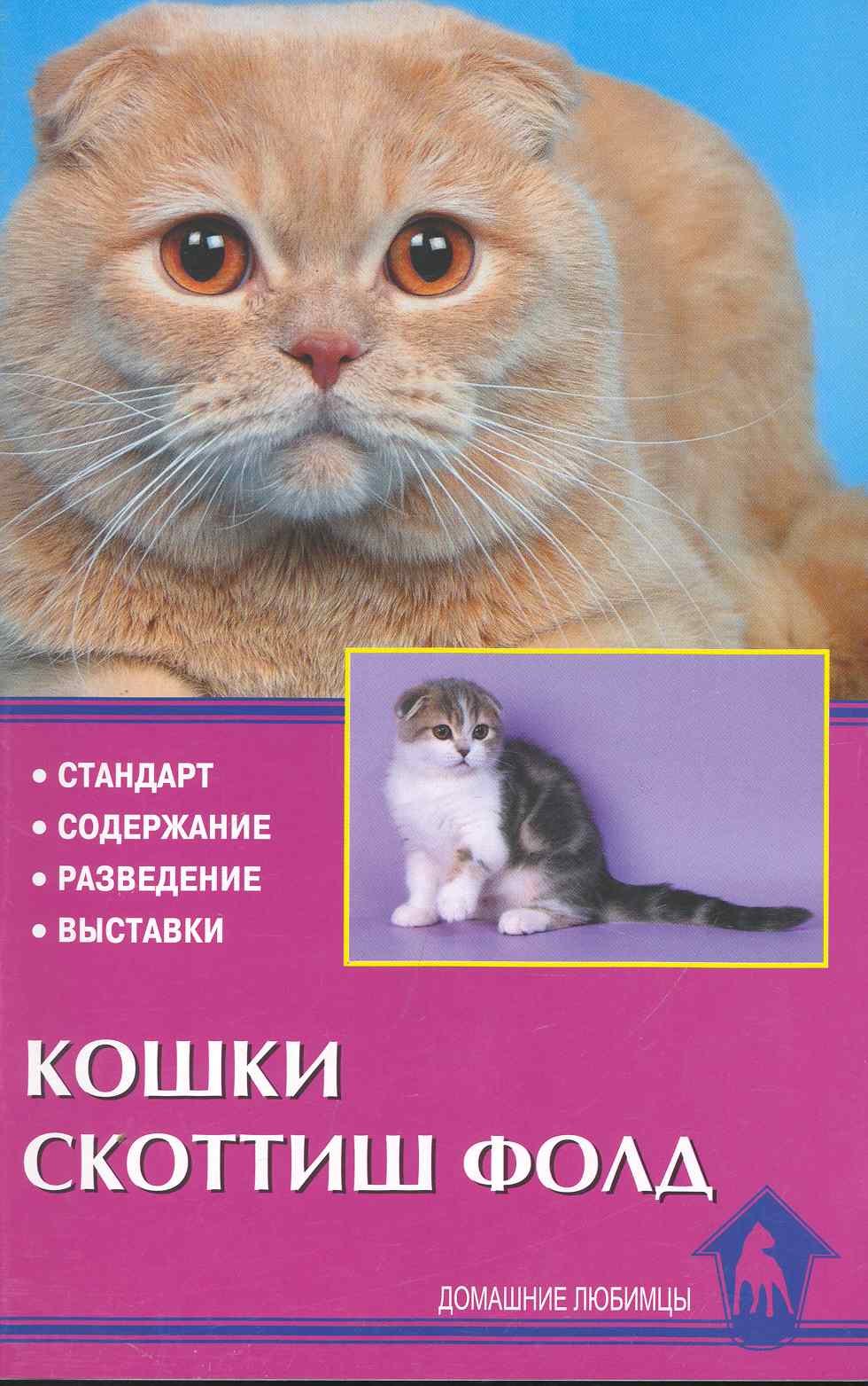 

Кошки скоттиш фолд. Стандарт. Содержание. Разведение. Выставки.