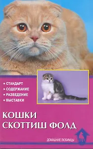 Кошки скоттиш фолд. Стандарт. Содержание. Разведение. Выставки.