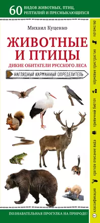 Животные и птицы. Дикие обитатели русского леса. Наглядный карманный определитель — 2846034 — 1