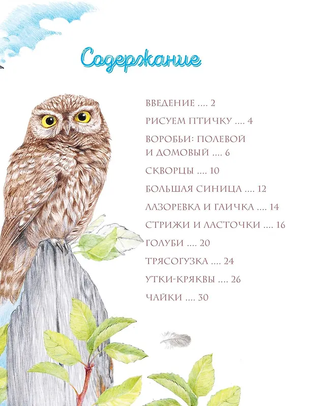Книга Птицы в городе (Наталья Габеева) — 10
