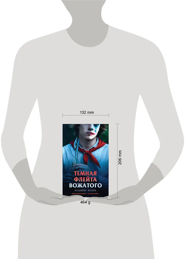Книга Темная флейта вожатого (Владимир Волков) — 12
