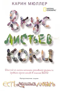 Вкус листьев коки