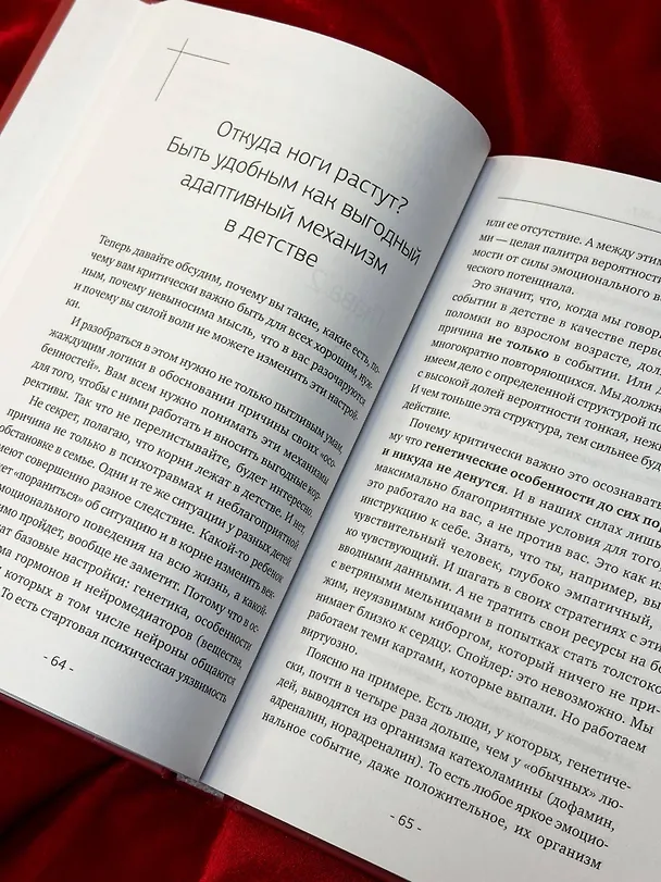 Книга Искусство говорить «НЕТ». Как избавиться от «синдрома удобного человека», перестать подстраиваться и научиться выбирать себя (Анна Шишкина) — 13