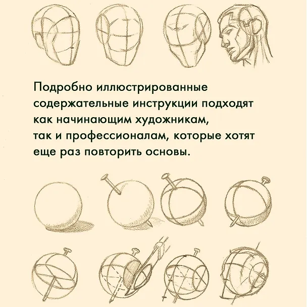 Книга Рисование головы и рук (Эндрю Лумис) — 6