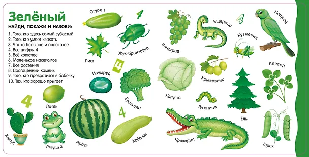 Книга Изучаем цвета, слова, цифры () — 6