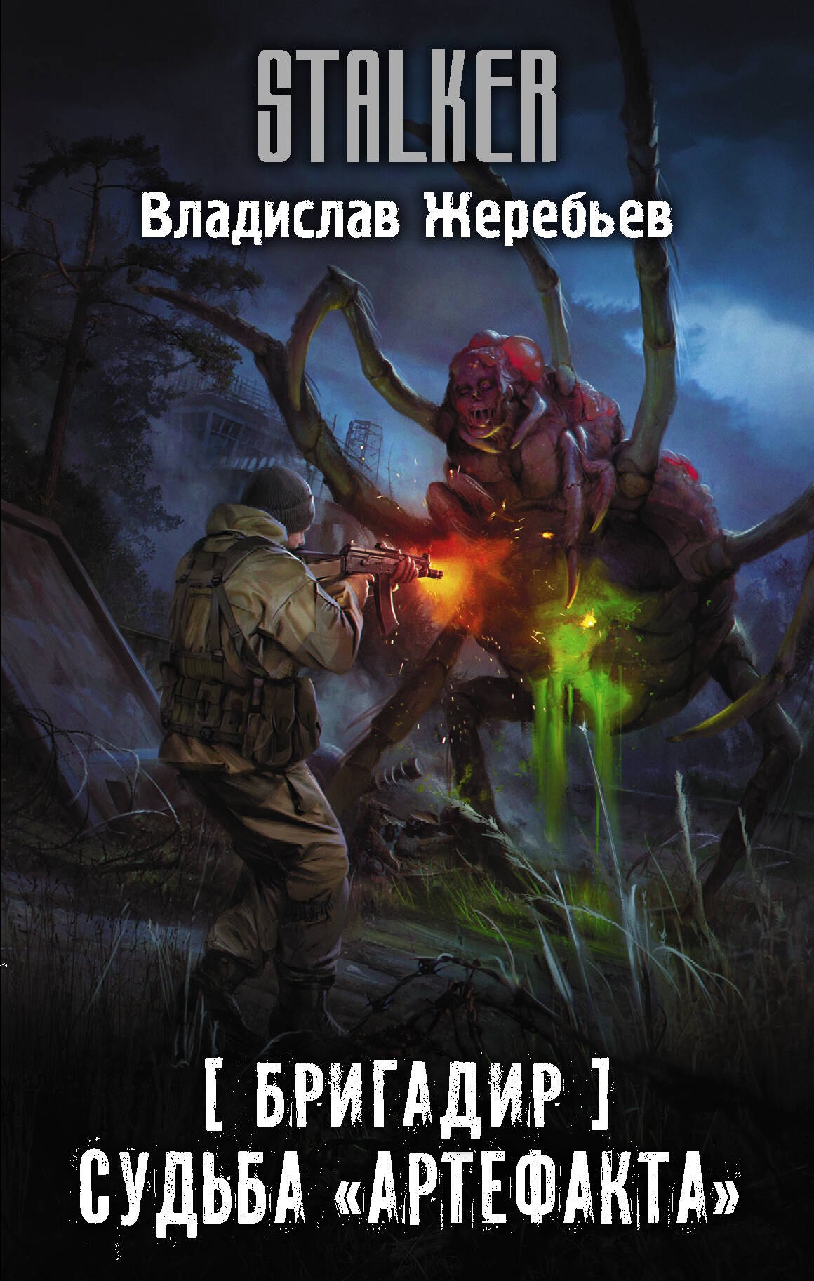 

Бригадир. Судьба "Артефакта"