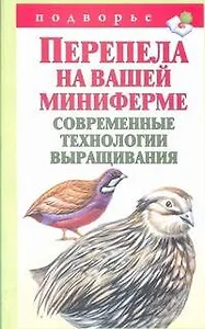 Перепела на вашей миниферме