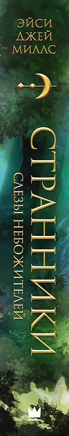 Книга Странники. Слезы небожителей (Эйси Джей Миллс) — 4