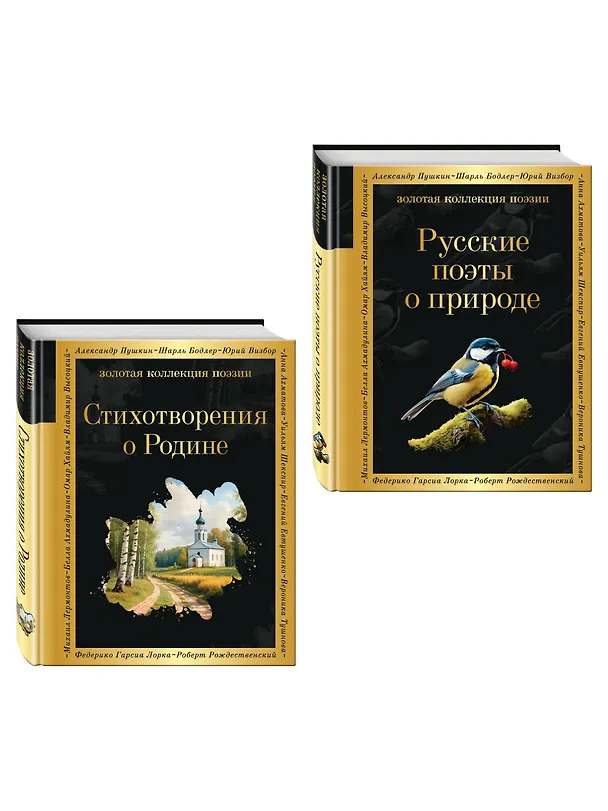 Книга Комплект Родина моя (из 2-х книг Русские поэты о природе Стихотворения о Родине) () — 4