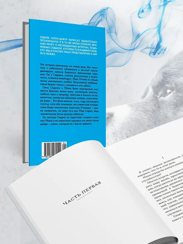 Книга Его запах после дождя (Седрик Сапен-Дефур) — 11