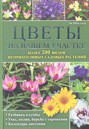 Цветы на вашем участке — 2319450 — 1