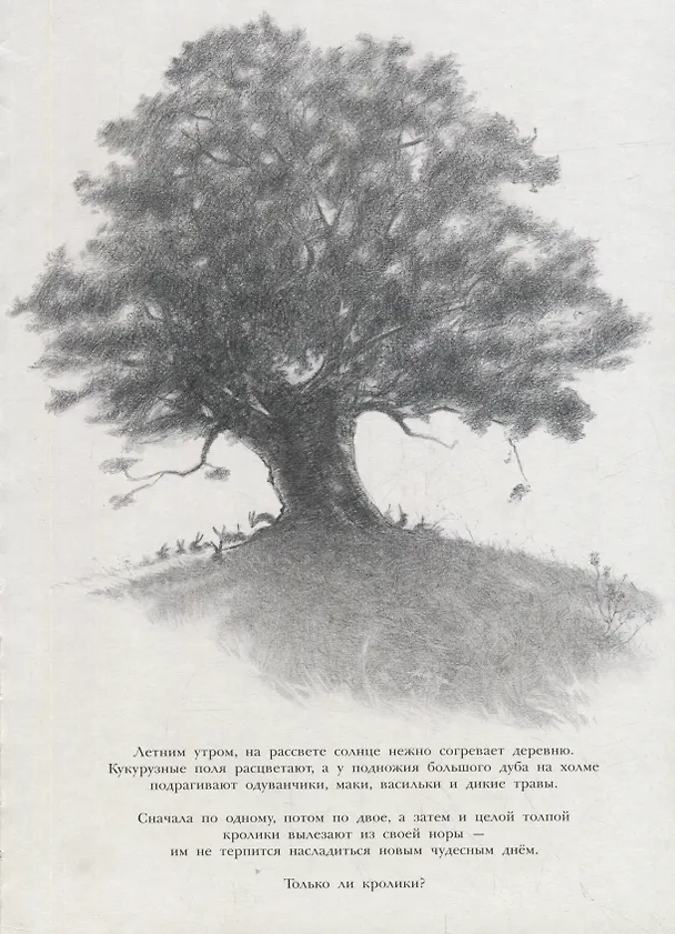 Книга Заяц и кролики (Тимоте Ле Веэль) — 4