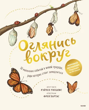 Оглянись вокруг. 50 маленьких событий в живой природе, ради которых стоит замедлиться — 2868208 — 1