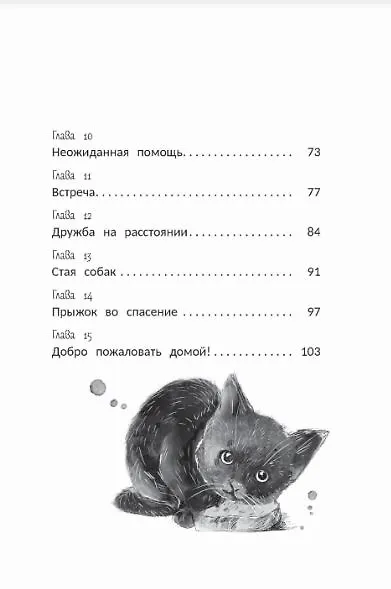 Книга На счастье (Наталья Александровская) — 4