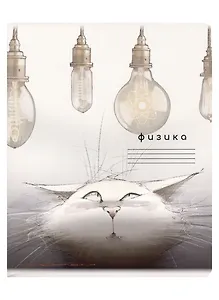 Тетрадь предметная в клетку "Кот учёный. Физика", 48 листов