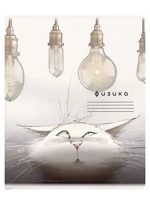 Тетрадь предметная в клетку "Кот учёный. Физика", 48 листов 2955270