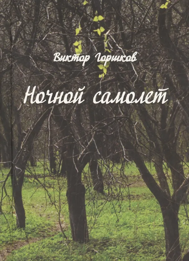 Книга Ночной самолет (Валерий Горшков) — 1