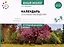 Календарь сезонных наблюдений. Пособие для работы с детьми 5-9 лет — 2975051 — 1