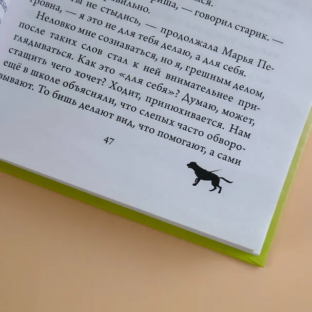 Книга Радуга для друга. Повесть (Михаил Самарский) — 9