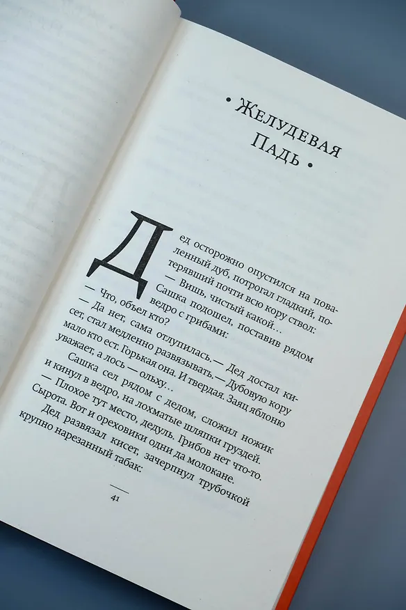 Книга Первый субботник (Владимир Сорокин) — 11