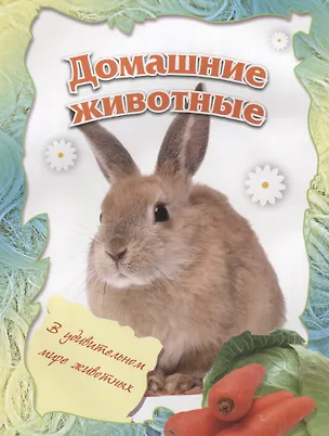 Книга Домашние животные УМ-2 ()