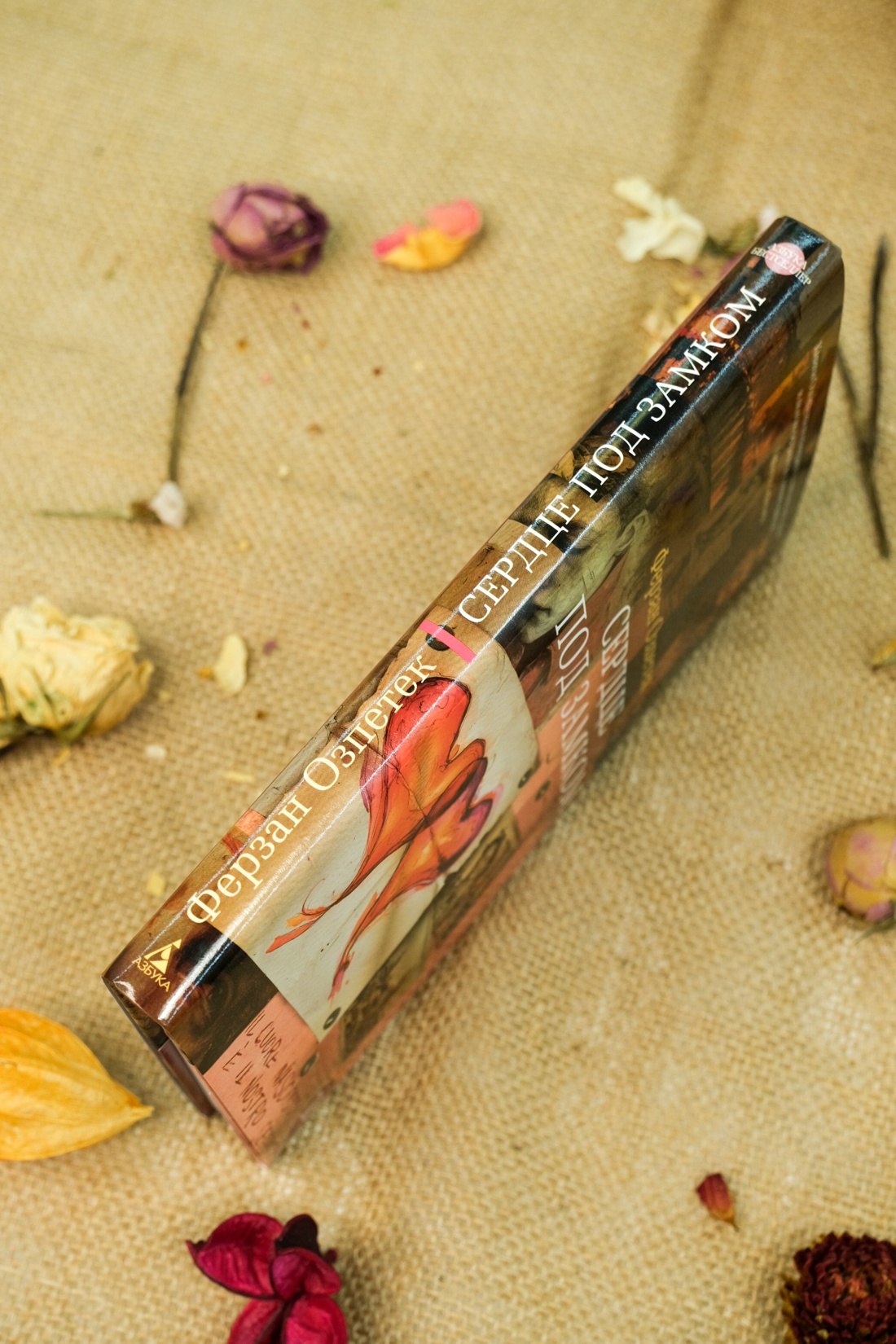 Изображение бумажной книги