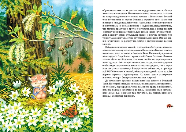 Книга Большой Кыш (Мила Блинова) — 7