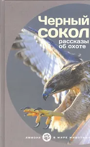 Черный сокол