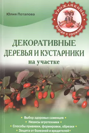 Декоративные деревья и кустарники на участке — 2400173 — 1