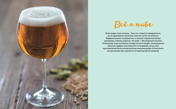 Книга Beer Expert: Пиво. Идеальный путеводитель по сортам, видам, рецептам (Каролина Гезий) — 6