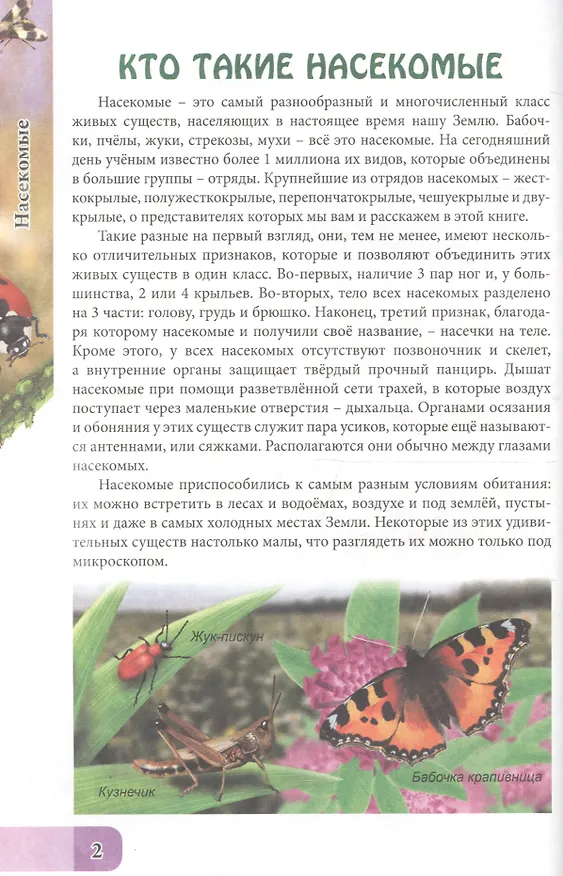 Книга ЭНЦИКЛОПЕДИЯ. В МИРЕ ЗНАНИЙ. УДИВИТЕЛЬНЫЙ МИР НАСЕКОМЫХ () — 2