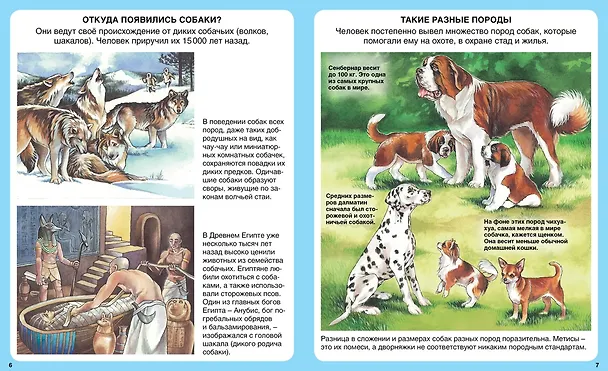 Книга Домашние питомцы (Патриция Рени) — 3