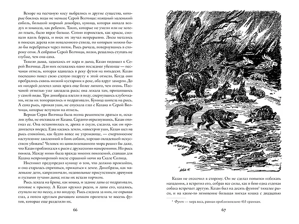 Книга Бродяги Севера (иллюстр. С. Лолека) (Джеймс Оливер Кервуд) — 7