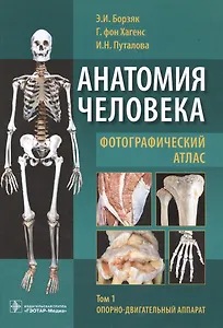 Анатомия человека Фотографический атлас 1/3тт. Опорно-двиг. аппарат (Борзяк)