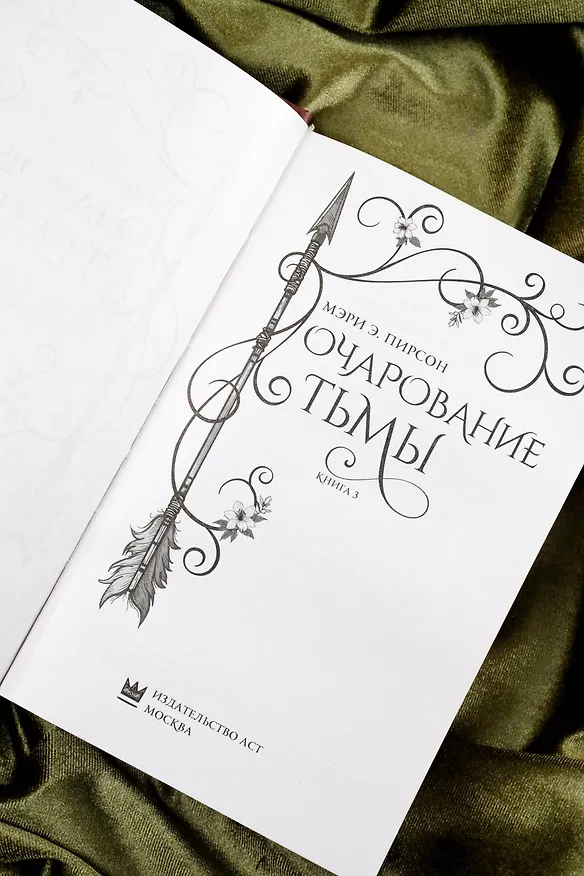 Книга Очарование тьмы (Мэри Э. Пирсон) — 9