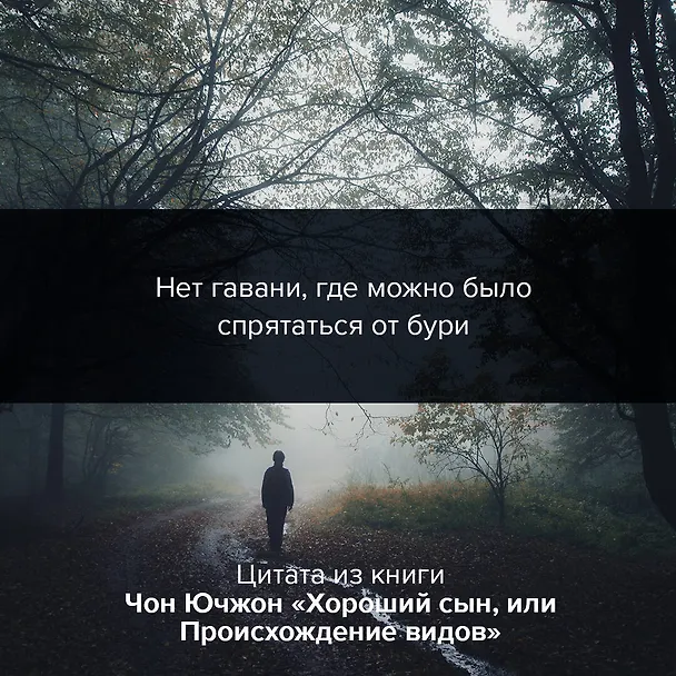 Книга Хороший сын, или Происхождение видов (Ючжон Чон) — 5