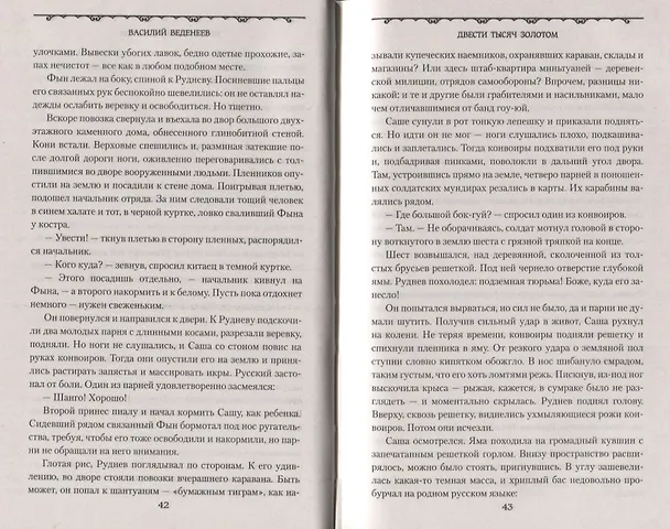 Книга Двести тысяч золотом (Василий Веденеев) — 6