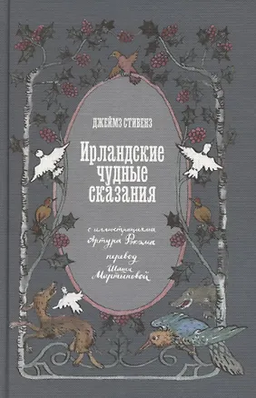 Книга Ирландские чудные сказания (Джеймз Стивенз)