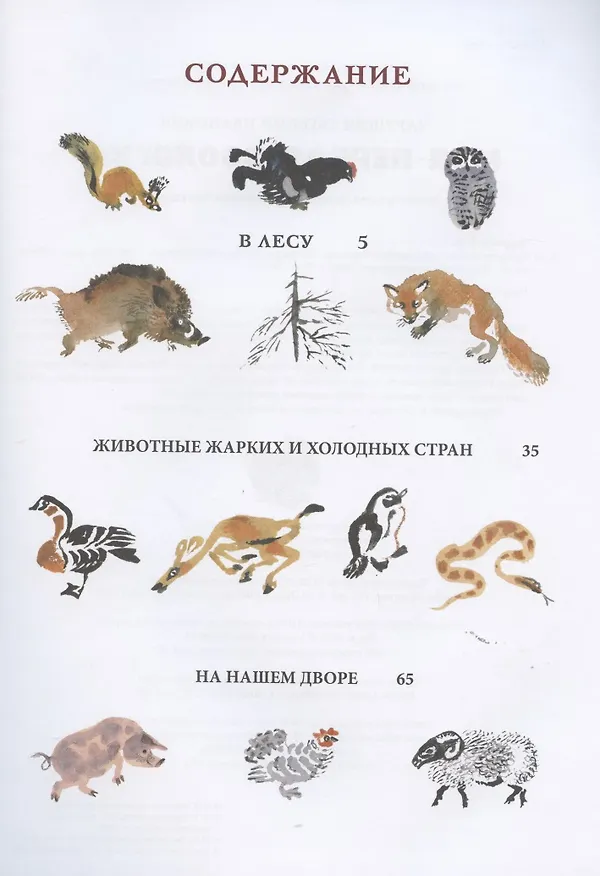 Книга Моя первая зоология (Евгений Чарушин) — 2