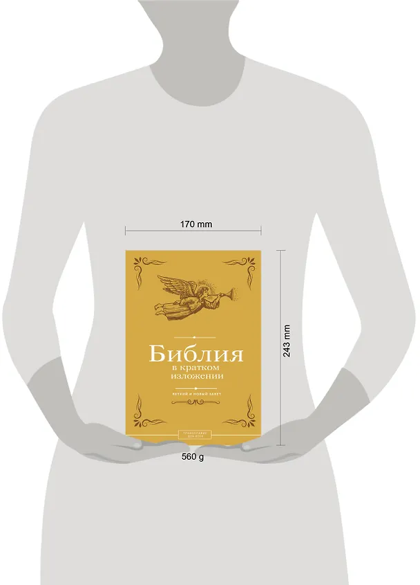Книга Библия в кратком изложении. Ветхий и Новый Завет () — 14