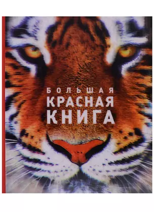 Большая красная книга (стерео-варио) — 2624365 — 1