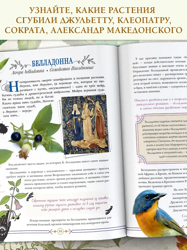 Книга Опасные растения. От ядовитых до аллергенных (Ирина Пескова) — 6