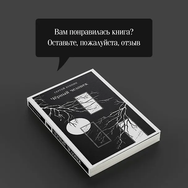 Книга Чёрный человек (Сергей Есенин) — 12