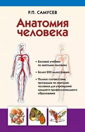 Анатомия человека: учебник для студентов учреждений среднего профессионального образования. 4 -е изд., перераб. и доп. — 2437578 — 1