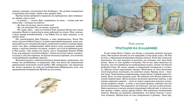 Книга Приключения Тома Сойера (Марк Твен) — 13