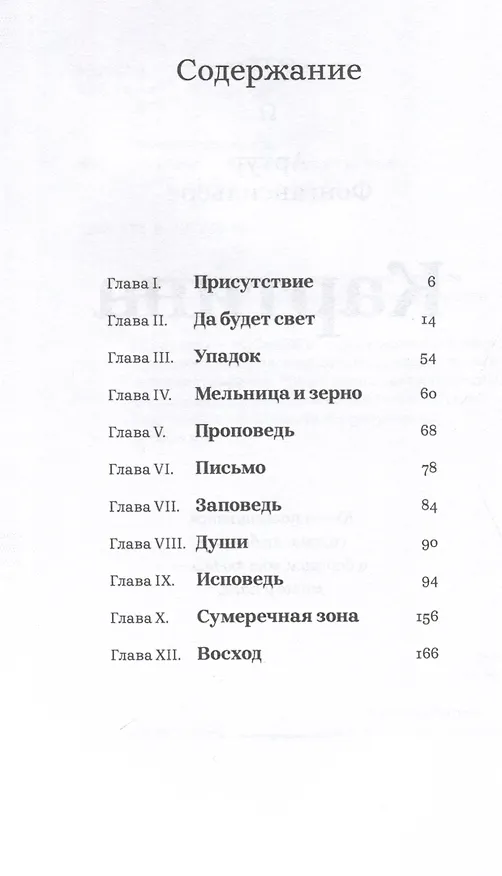 Книга Картина (Артур Фонгансильере) — 3